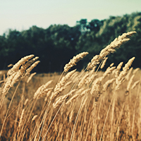 【Windows电脑版】完整安装的DDOS在线攻击